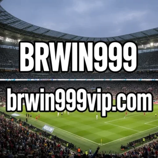 Logo brwin999